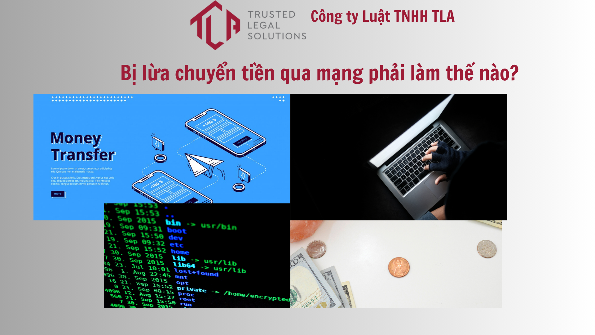 Bị lừa chuyển tiền qua mạng phải làm thế nào? - TLA LAW FIRM