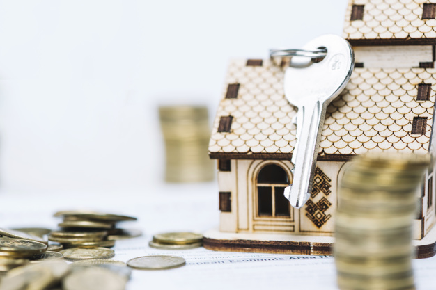 Capital contribution with land use rights